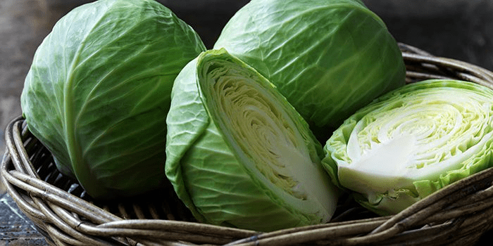 Cabbage for beauty and health